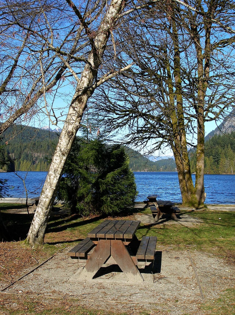 Der Tisch am See